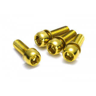 Set 4 suruburi otel Reverse pentru etrier aurii