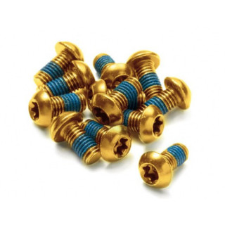 Set 12 suruburi disc otel Reverse Aurii