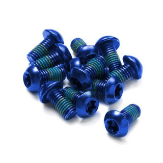 Set 12 suruburi disc otel Reverse albastre