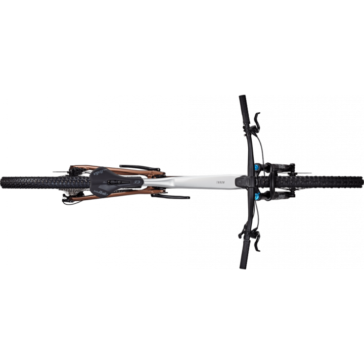 Bicicleta Focus Thron 6.9 29 Nepal Silver / Platinum Bronze - XL(47cm)