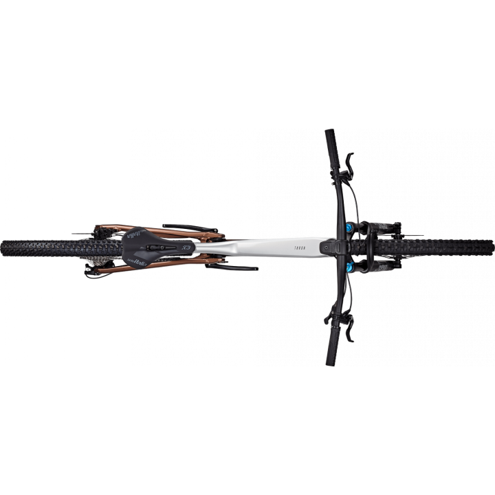 Bicicleta Focus Thron 6.9 29 Nepal Silver / Platinum Bronze - L(45cm)