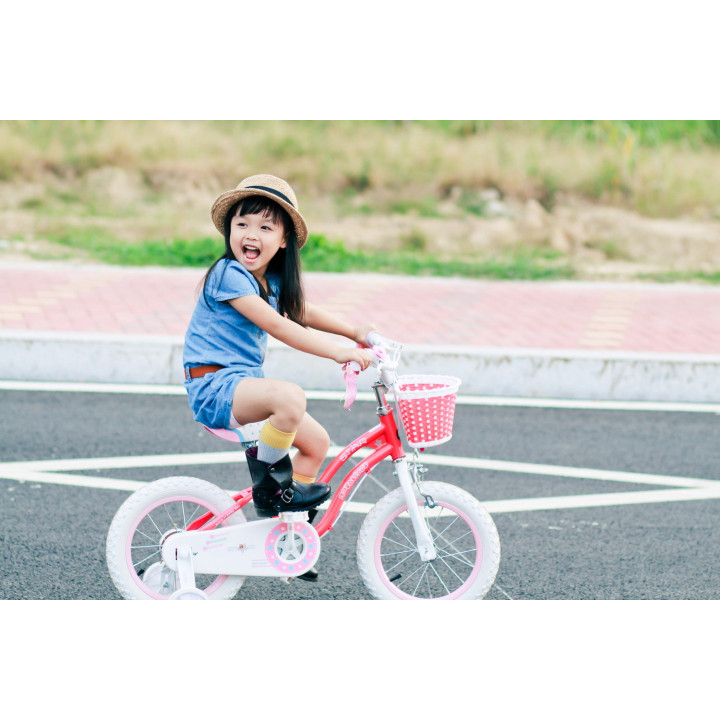 Bicicleta Royal Baby Star Girl 20 Pink