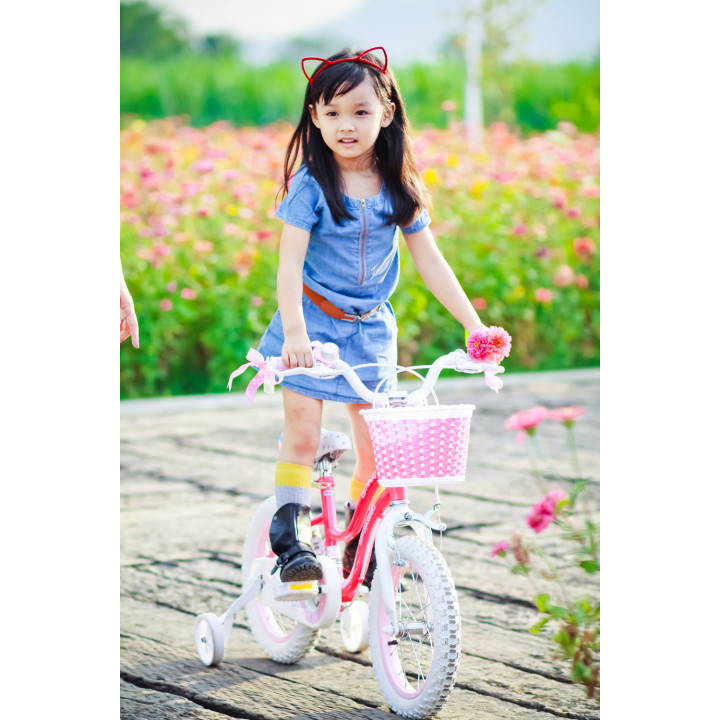 Bicicleta Royal Baby Star Girl 20 Pink