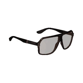 Ochelari Leatt TheViz Andes Brown Polarized Silver 34 VLT