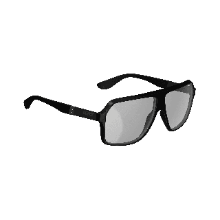 Ochelari Leatt TheViz Andes Black Polarized Silver 17 VLT