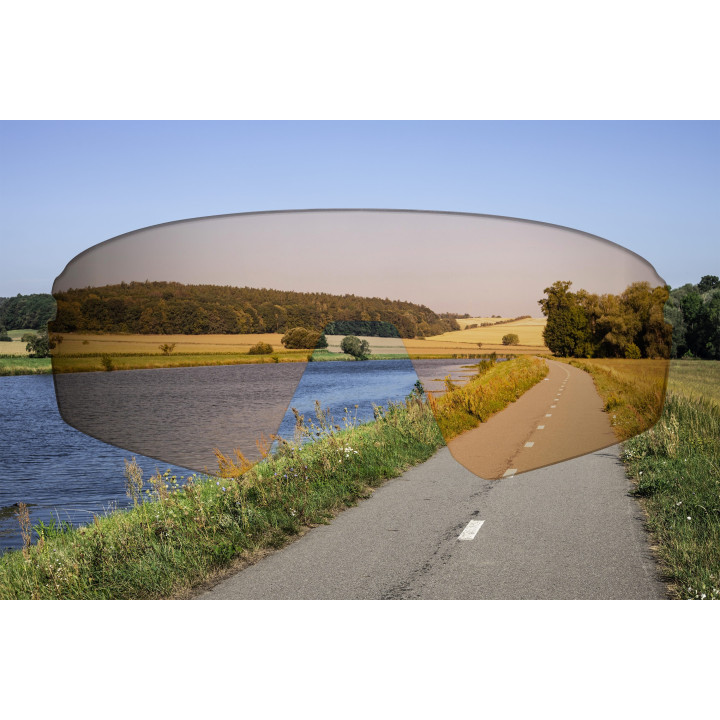 Ochelari Force Electra Negri, lentile maro