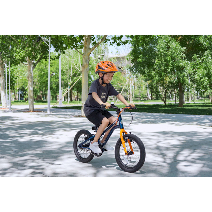 Bicicleta Royal Baby Kable-EZ 14 Golden