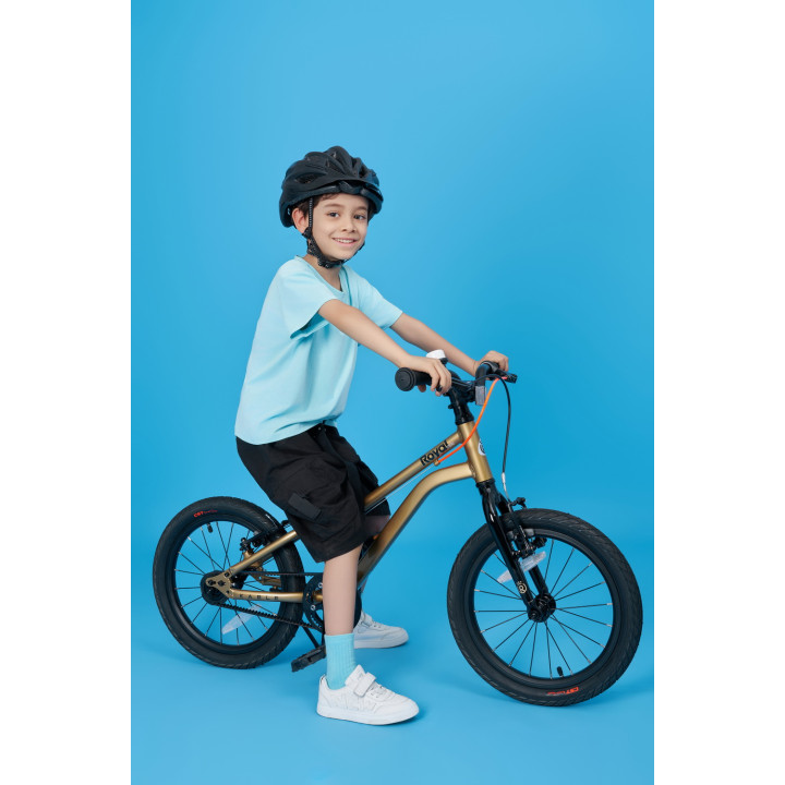 Bicicleta Royal Baby Kable-Belt 16 Golden